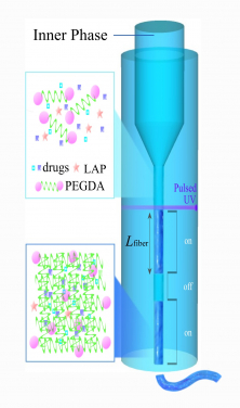 Figure 1. The fabrication of Fibro-gel. The material containing the molecules of a drug, photo initiator (LAP) and polymer (PEGDA) is squeezed out through a microscopic nozzle to form a microfibre that is cut to specified length (Lfibre) by a pulse of the UV light. (Picture is reproduced under the terms of the Creative Commons Attribution License. © 2023 Shen et al. Advanced Materials published by Wiley-VCH GmbH.)
 